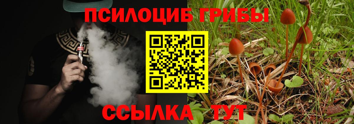 Галлюциногенные грибы мицелий Уварово