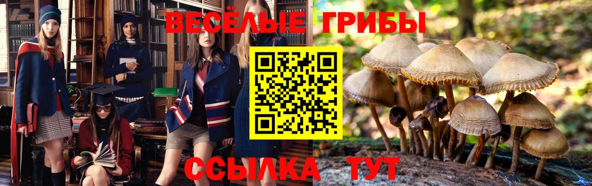 Псилоцибиновые грибы мухоморы  Вход с VPN  Уварово 
